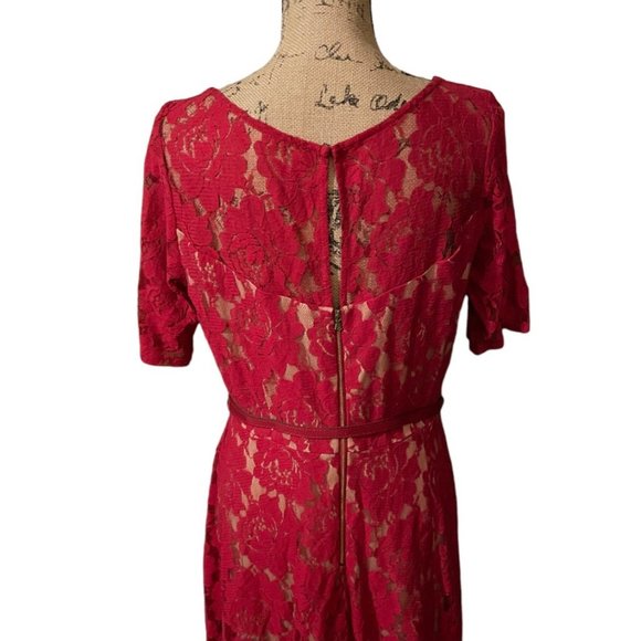 Danny And Nicole Lace Dress - Picture 6 of 8